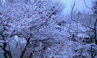 110209_0642~0001.jpg