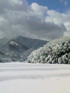 120208_1032~001鹿野雪.jpg