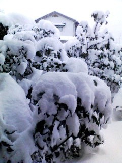 120218_1735~001.jpg