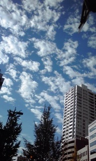 150926_0813~01.jpg