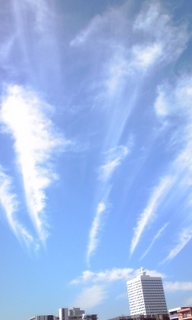 151026_1052-01.jpg
