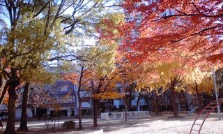 151207_1420-03.jpg