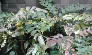 160227_1216-01.jpg