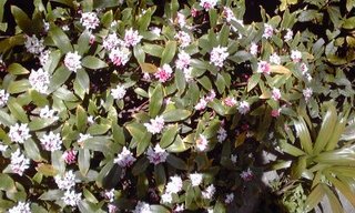 160303_1413-01.jpg