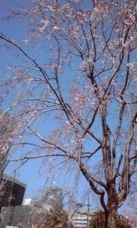 160322_1446-01.jpg