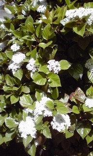 160416_1221-01.jpg