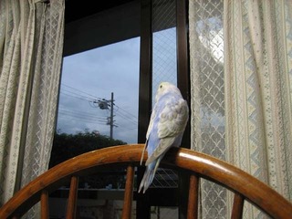 IMG_2902.jpg