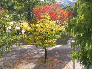 s-07年11月12日0006.jpg