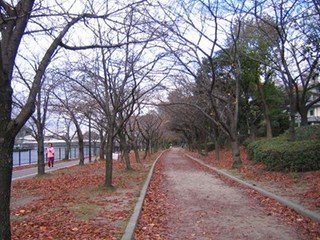 s-07年12月05日0002.jpg
