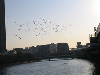 s-07年12月20日0013.jpg