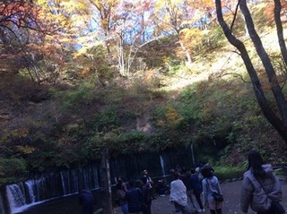 s-1540901287442 (3).jpg