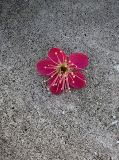 s-1614499041608.png