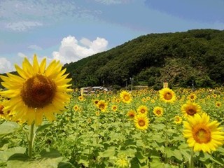 s-DSC_0579.jpg