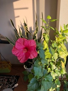 s-IMG_0046.jpg