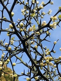 s-IMG_0059.jpg