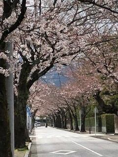 s-IMG_0062.jpg