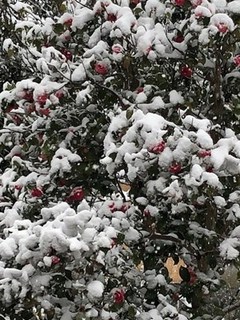 s-IMG_0066.jpg