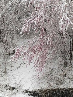s-IMG_0067.jpg