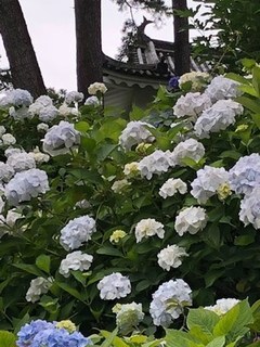 s-IMG_0080.jpg