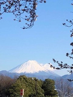 s-IMG_0343.jpg