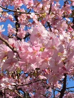 s-IMG_0513.jpg