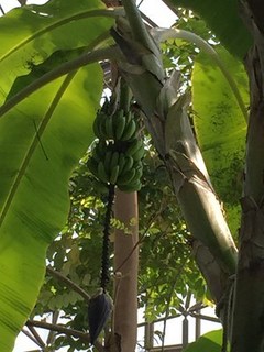 s-IMG_6130.jpg