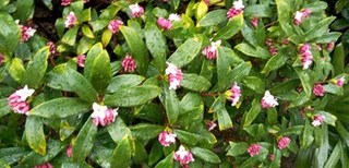 s-KIMG0041.jpg
