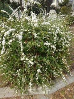s-KIMG0048.jpg