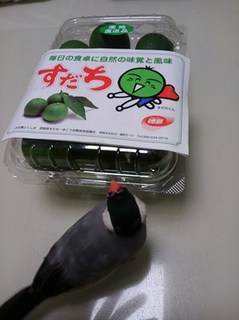 s-KIMG0114.jpg