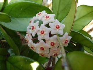 s-KIMG0219.jpg