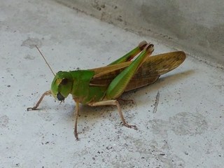 s-KIMG0228.jpg