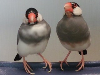 s-KIMG0274.jpg