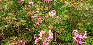 s-KIMG0476.jpg