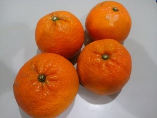 s-KIMG0486.jpg
