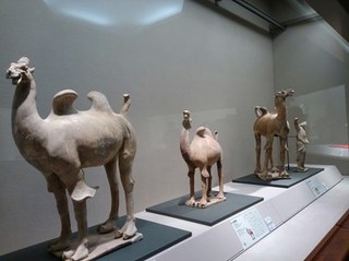 s-KIMG0494.jpg