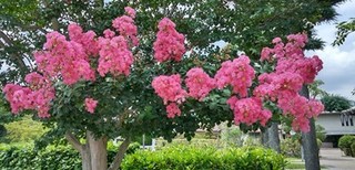 s-KIMG0529.jpg