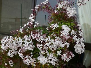 s-KIMG0589.jpg