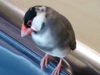 s-KIMG0681.jpg