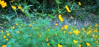 s-KIMG0730.jpg
