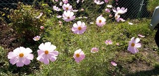 s-KIMG0733.jpg