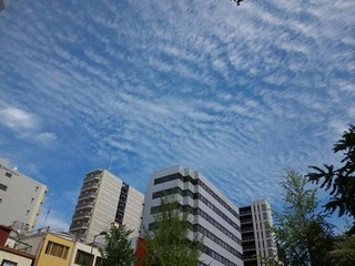 s-KIMG0785.jpg