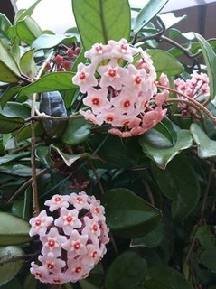 s-KIMG0788.jpg