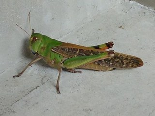 s-KIMG0795.jpg