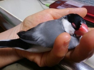s-KIMG0805.jpg