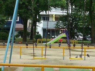s-KIMG0806.jpg