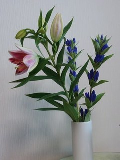 s-KIMG0869.jpg