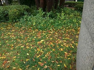 s-KIMG0958.jpg