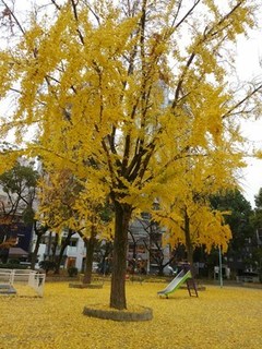 s-KIMG1009.jpg