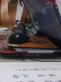 s-KIMG1156.jpg