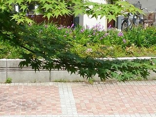 s-KIMG1306.jpg